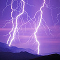 Purple Haze